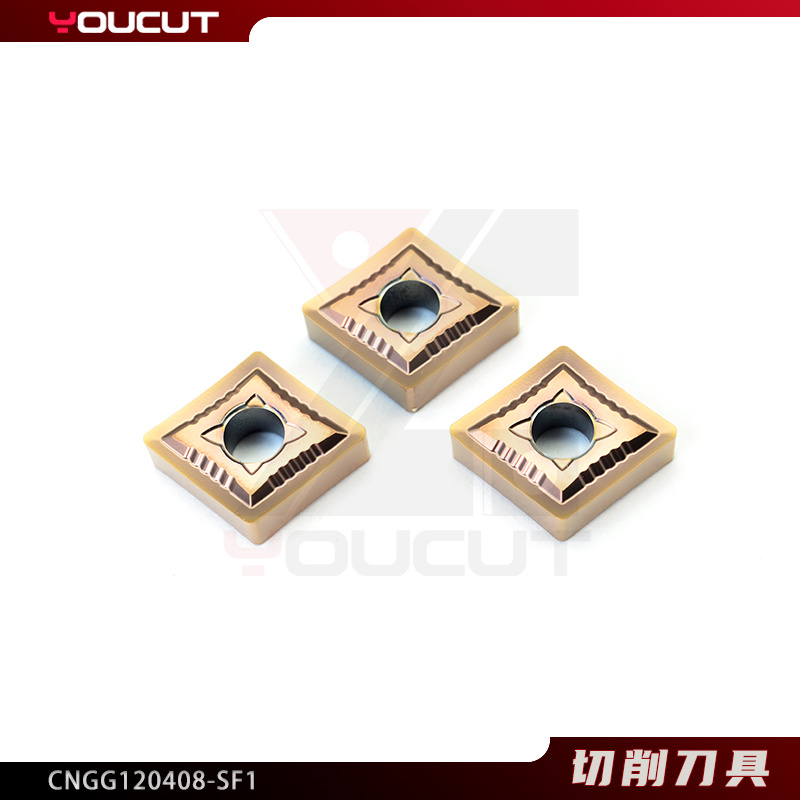 CNGG120408-SF1