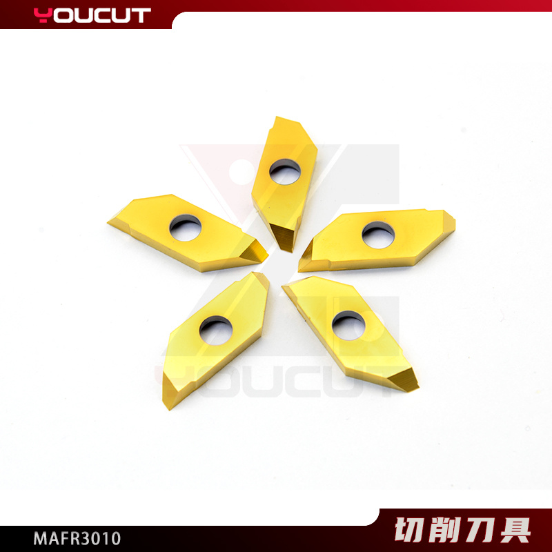 MAFR3010