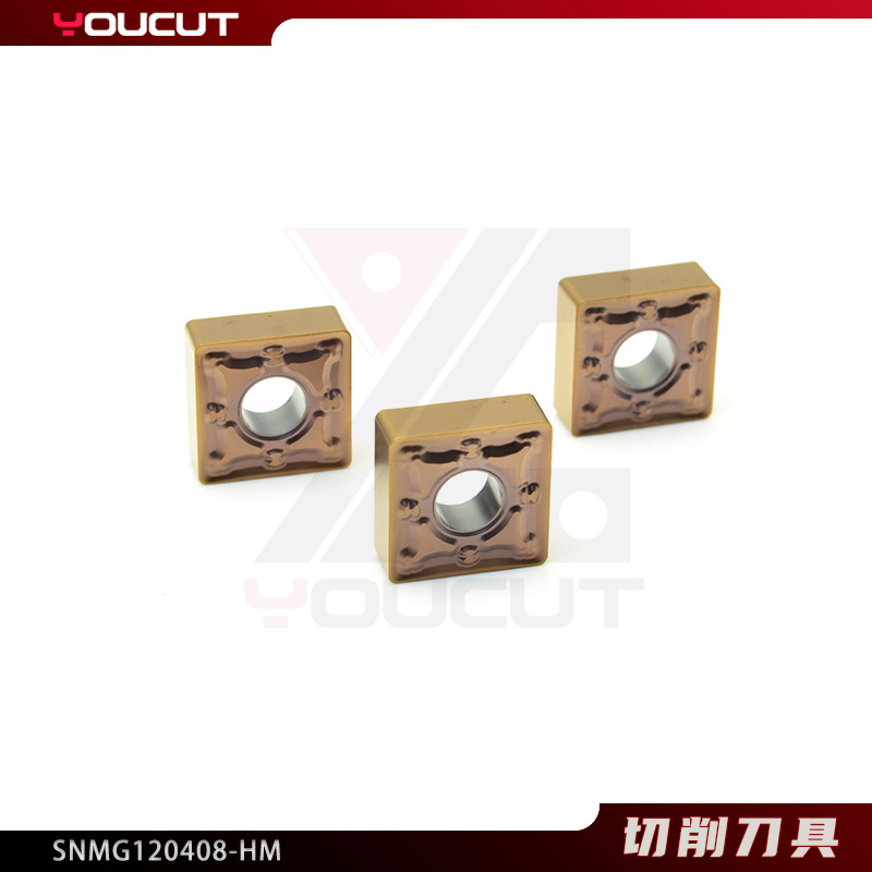 SNMG120408-HM
