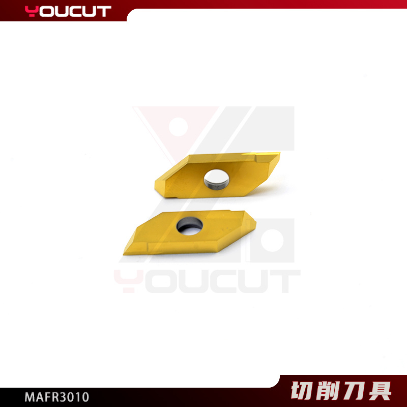MAFR3010