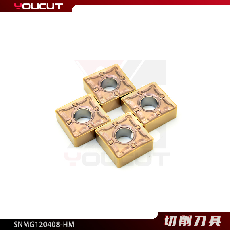SNMG120408-HM