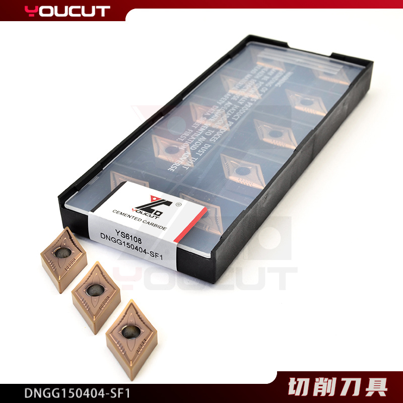 DNGG150404-SF1