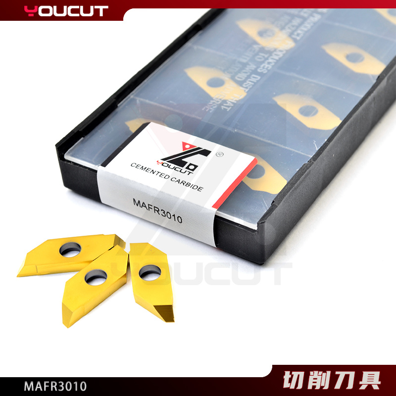 MAFR3010