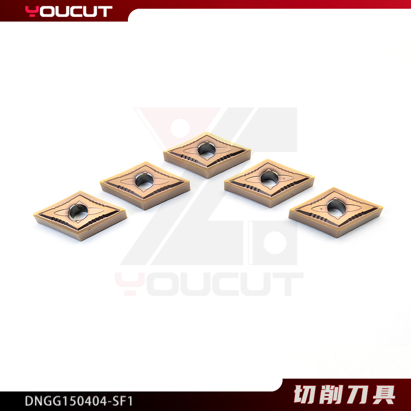 DNGG150404-SF1