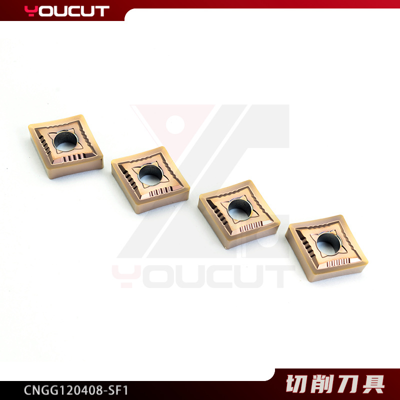CNGG120408-SF1