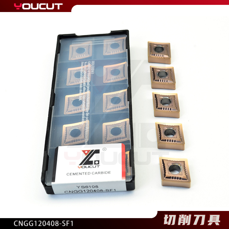 CNGG120408-SF1
