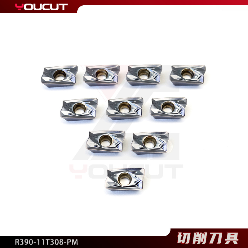 R390-11T308-PM
