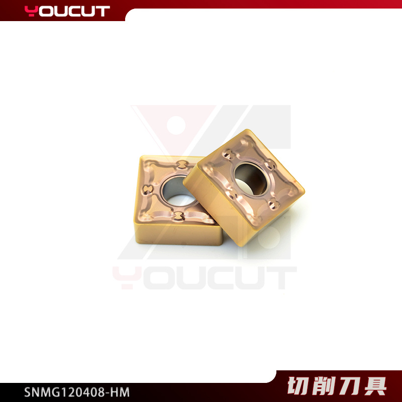 SNMG120408-HM
