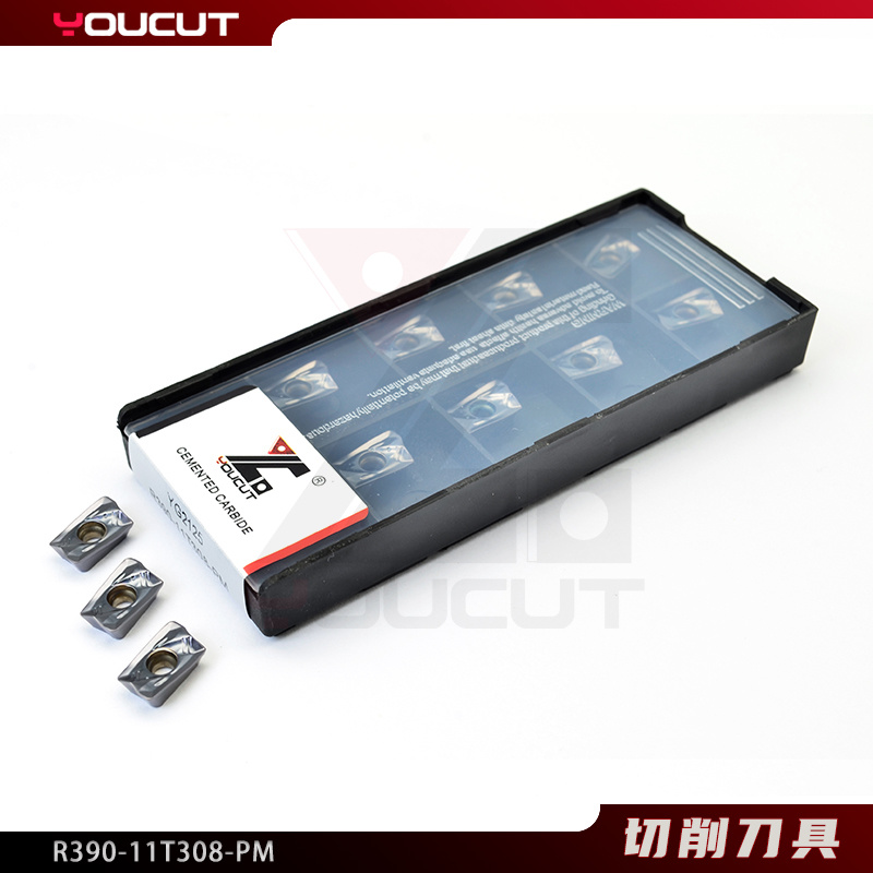 R390-11T308-PM