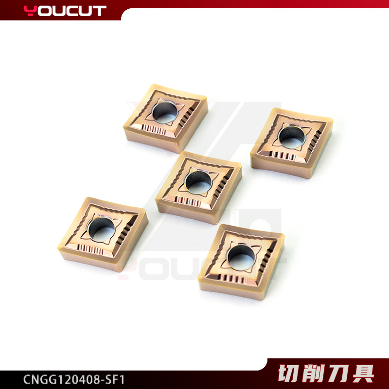 CNGG120408-SF1