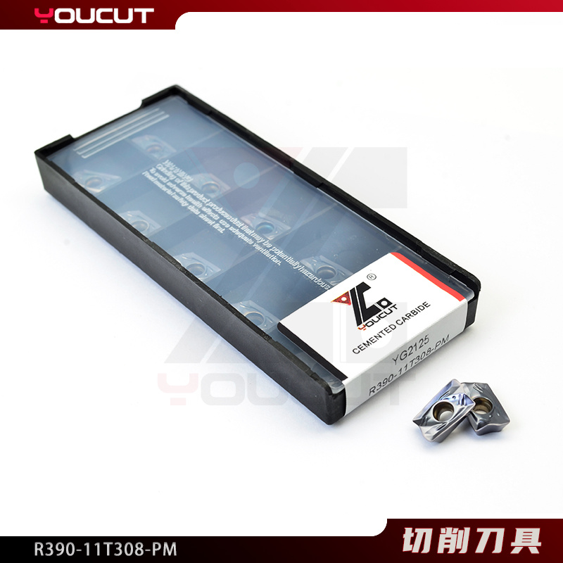 R390-11T308-PM
