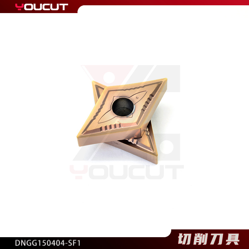 DNGG150404-SF1