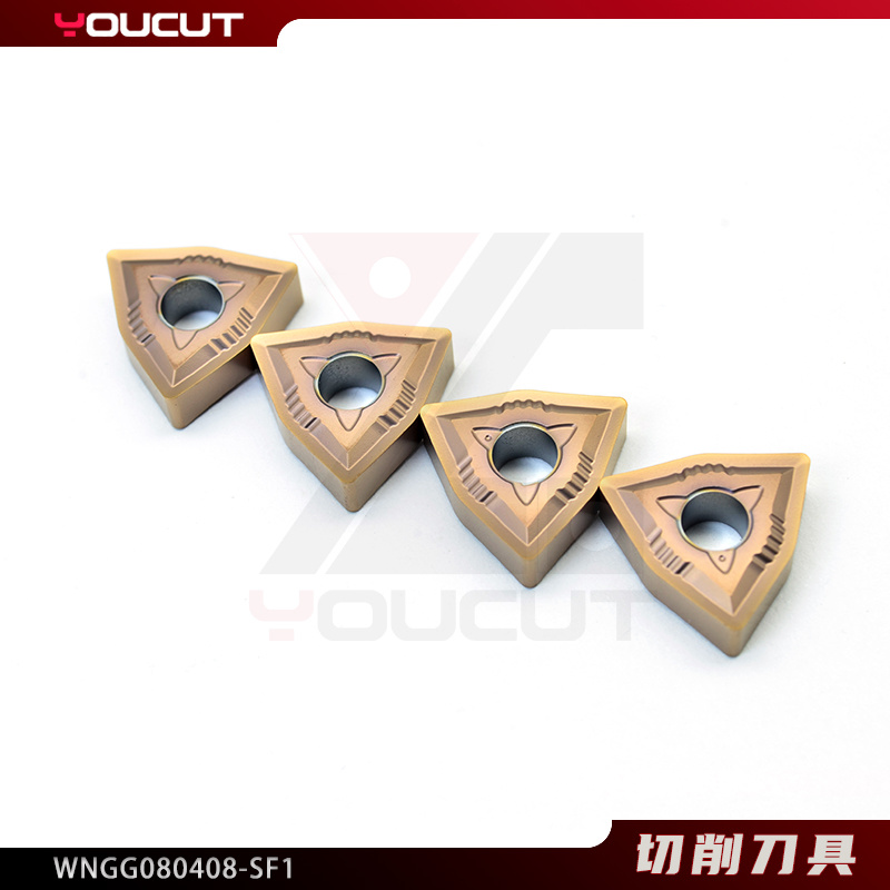 WNGG080408-SF1