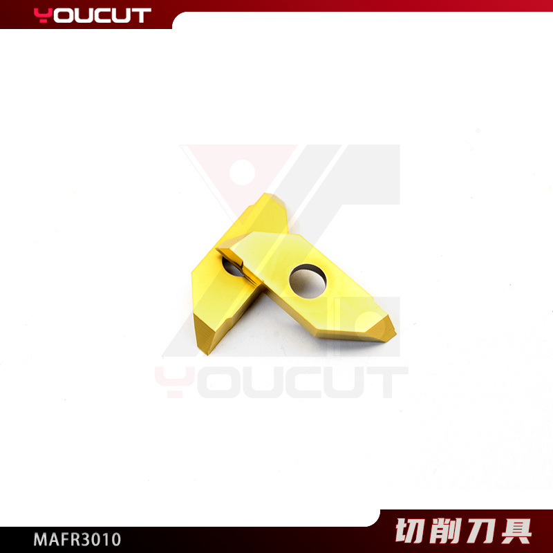 MAFR3010
