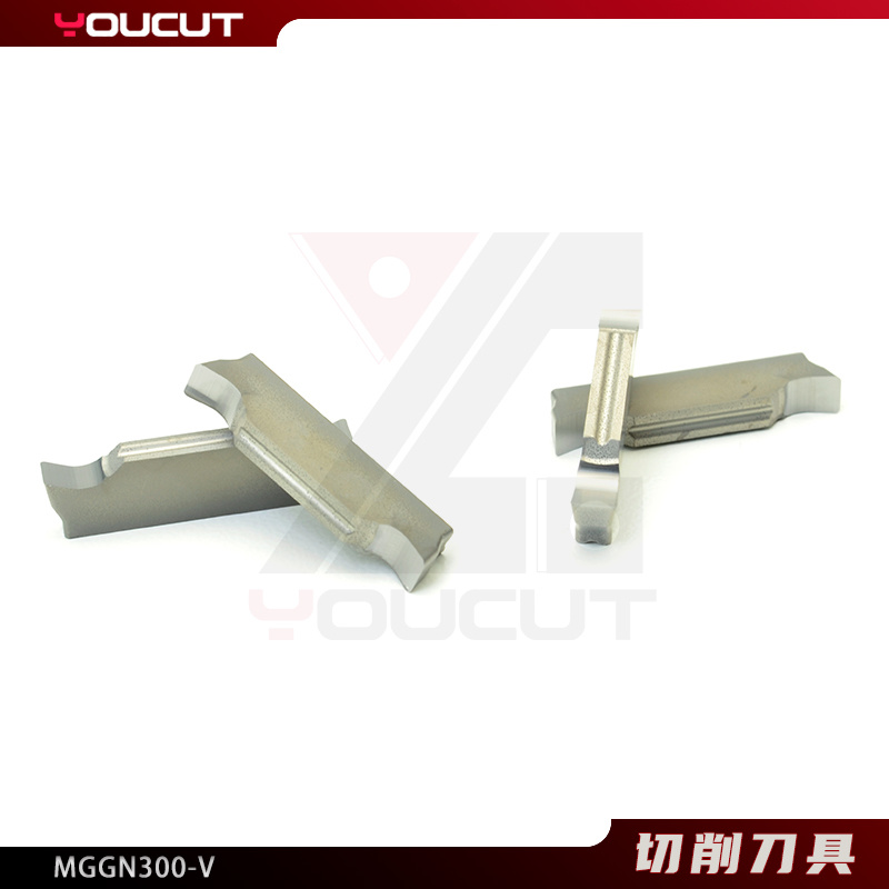 MGGN300-V