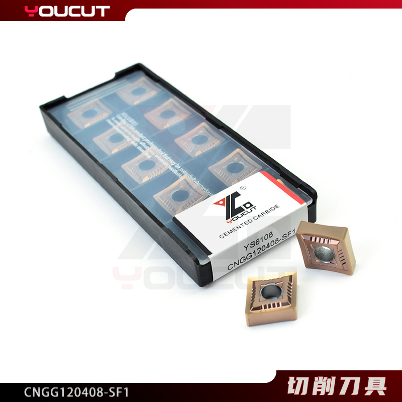 CNGG120408-SF1
