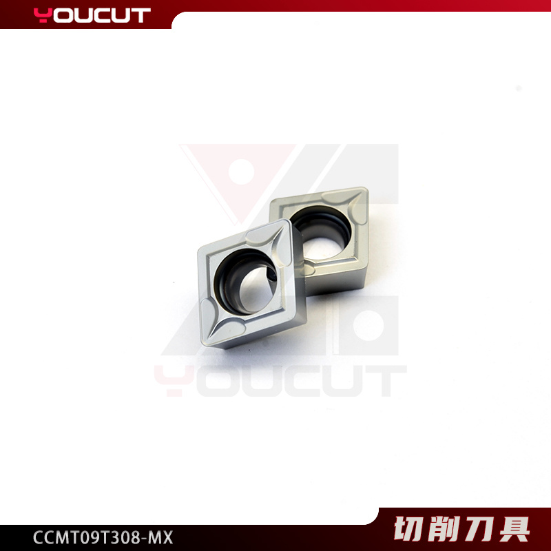 CCMT09T308-MX