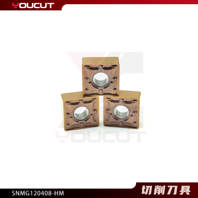 SNMG120408-HM
