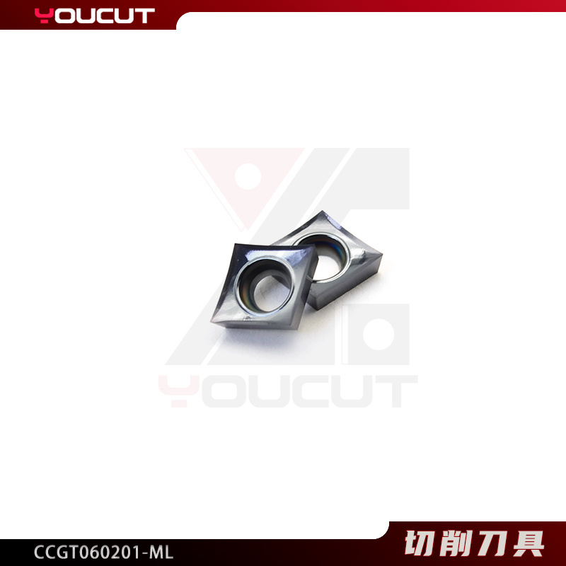 CCGT060201-ML