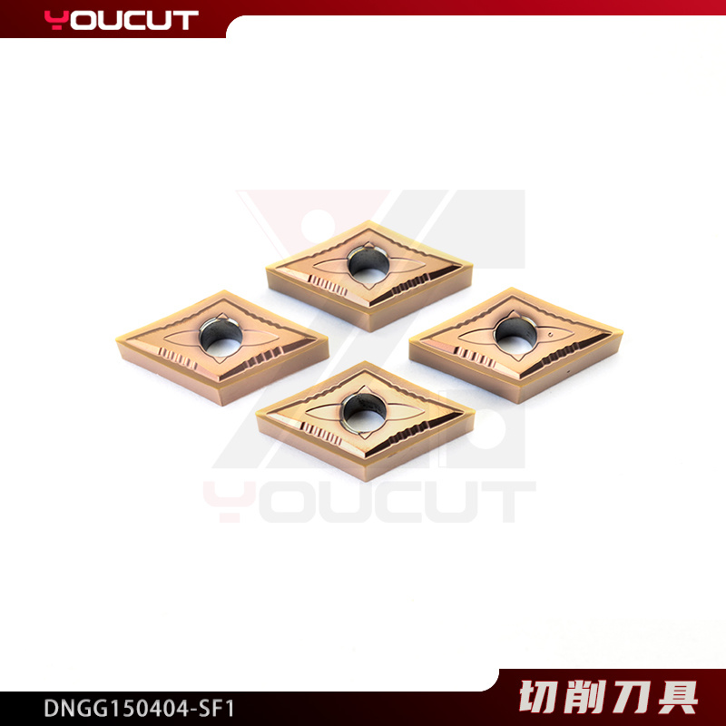 DNGG150404-SF1