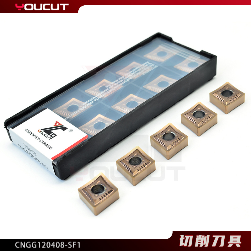 CNGG120408-SF1