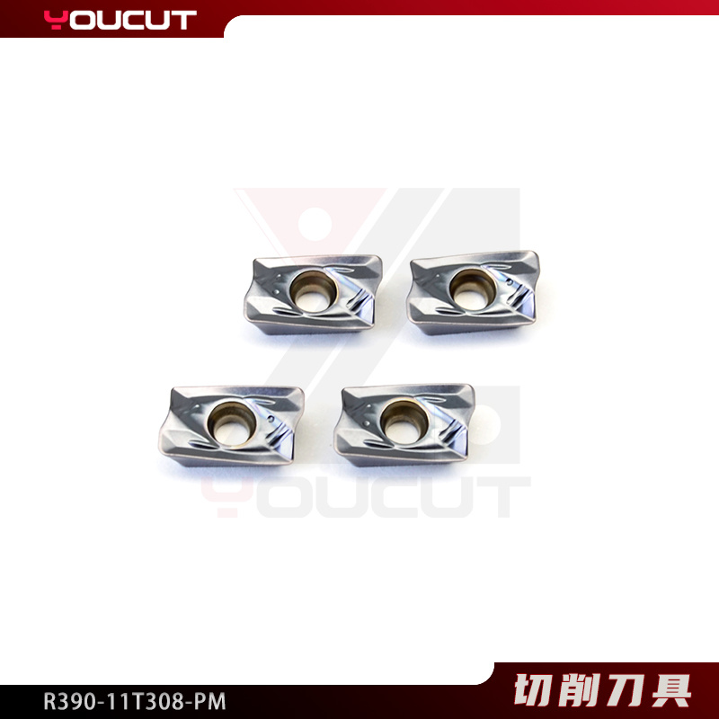 R390-11T308-PM