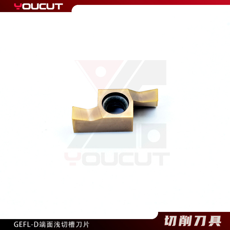 GEFL3010-D-L4.5