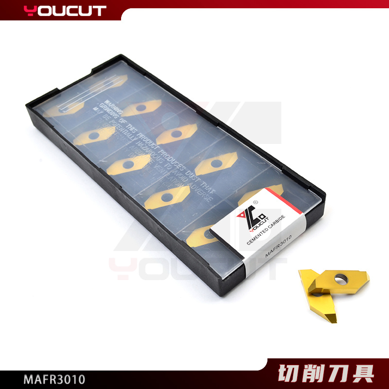 MAFR3010