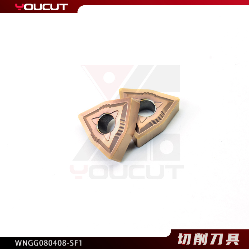 WNGG080408-SF1