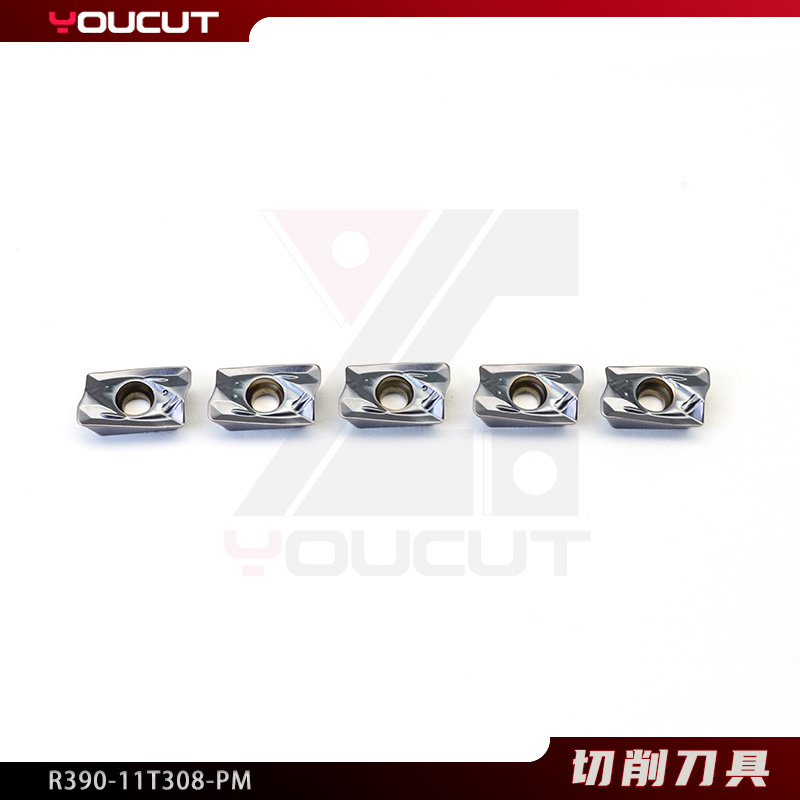 R390-11T308-PM
