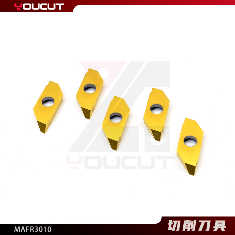 MAFR3010