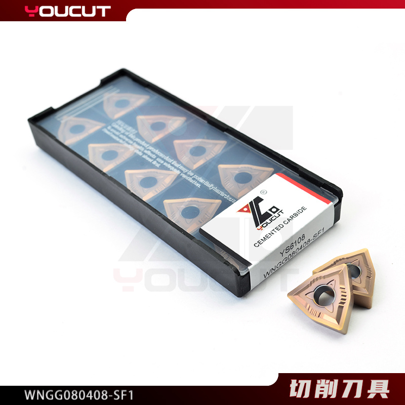 WNGG080408-SF1