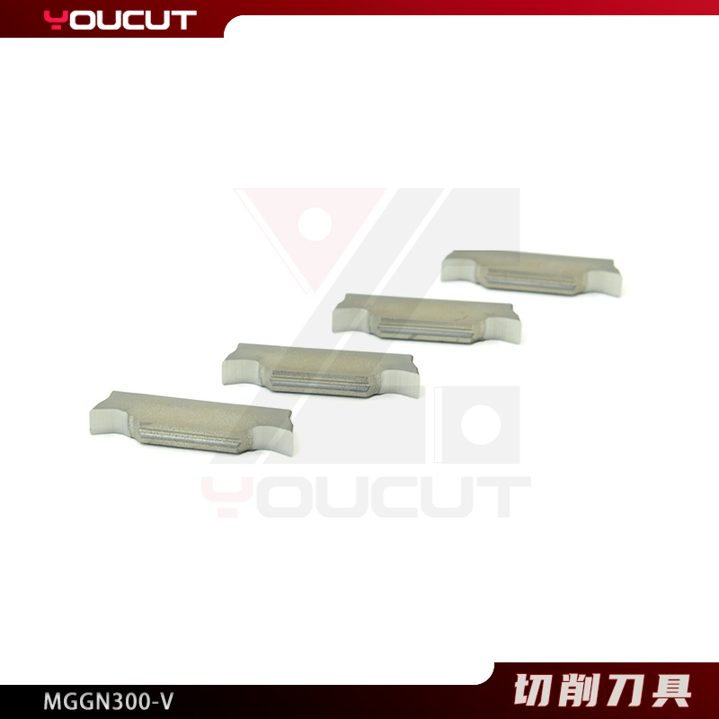MGGN300-V