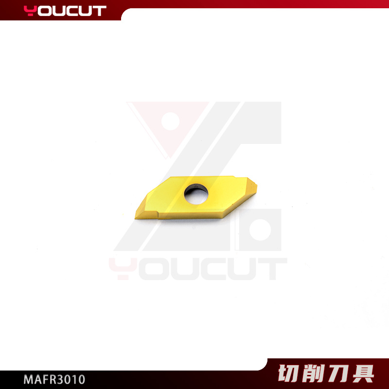 MAFR3010