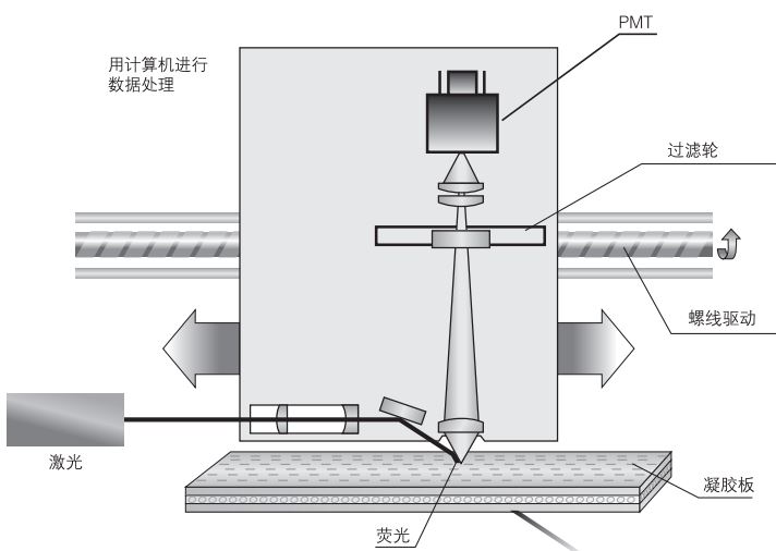 DNA sequencer