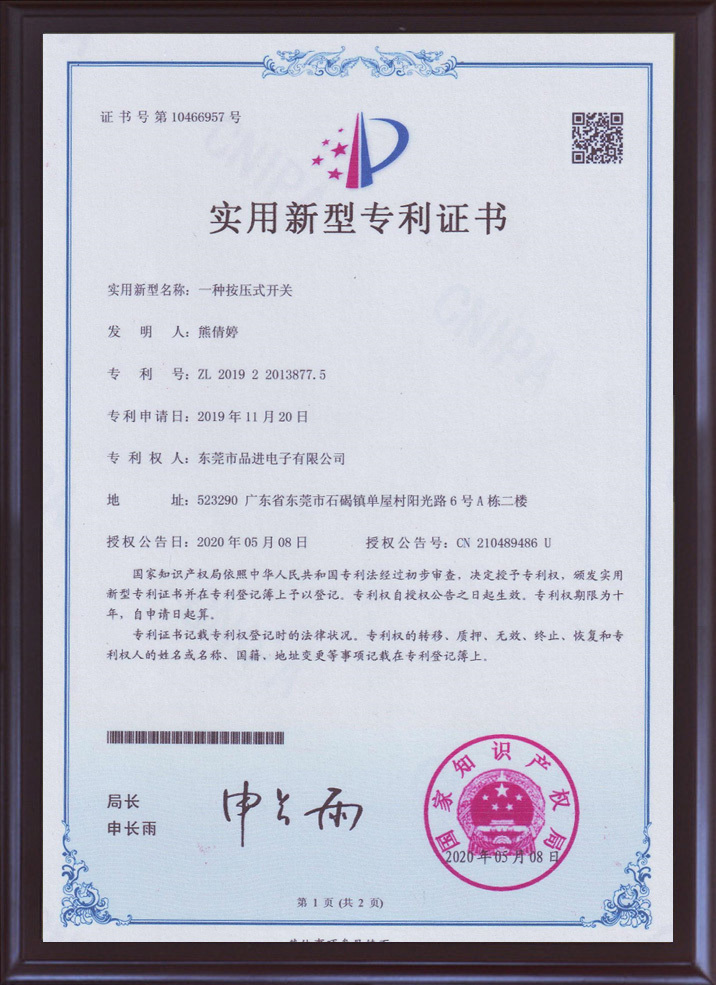 (12)實用新型專利2