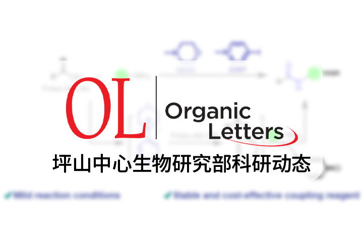 OL | 李子刚/尹丰课题组在非消旋化和非差向异构化卤代吡啶盐酰胺偶联试剂上取得重要研究进展