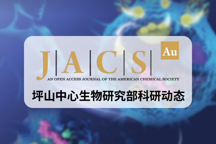 《JACS Au》封面文章 | 李子刚/尹丰课题组在靶向MTDH-SND1相互作用的多肽抑制剂的开发及递送领域取得新进展