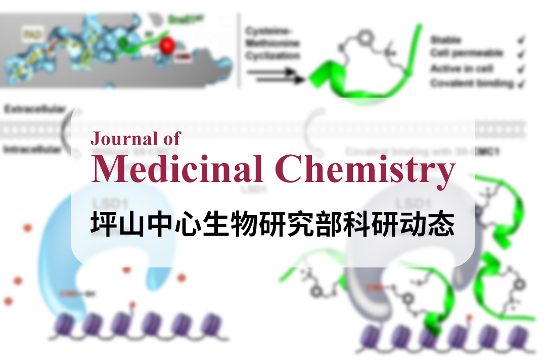 J. Med. Chem.|坪山中心/北京大學(xué)深圳研究生院李子剛/尹豐課題組在靶向LSD1的共價多肽抑制劑的開發(fā)上取得研究進(jìn)展