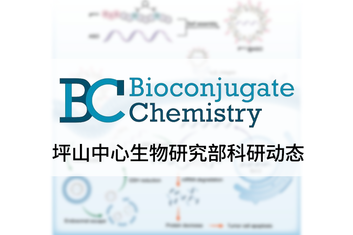 Bioconjugate Chem|深圳灣實(shí)驗(yàn)室坪山生物醫(yī)藥研發(fā)轉(zhuǎn)化中心李子剛/尹豐課題組在核酸藥物遞送領(lǐng)域取得新進(jìn)展