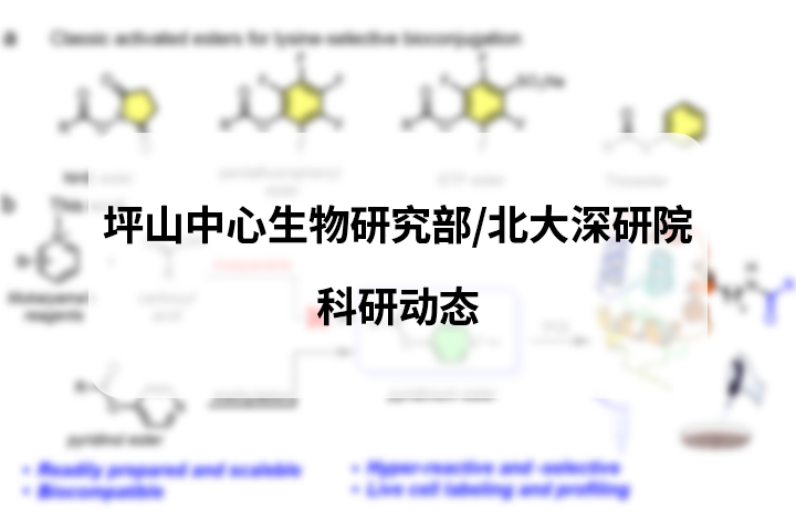 李子刚/尹丰课题组在活细胞化学蛋白质组学研究中取得系列重要研究进展