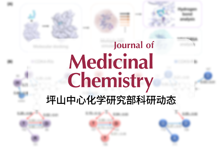 黃湧/陳杰安課題組揭示細(xì)胞周期蛋白依賴性激酶4、6和9的結(jié)合選擇性：開發(fā)高效且選擇性的CDK4/9抑制劑