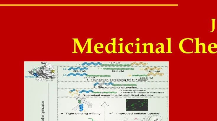 科研動態(tài)｜坪山中心和拜耳制藥在靶向HIF1αp300相互作用的多肽抑制劑的開發(fā)上取得研究進展