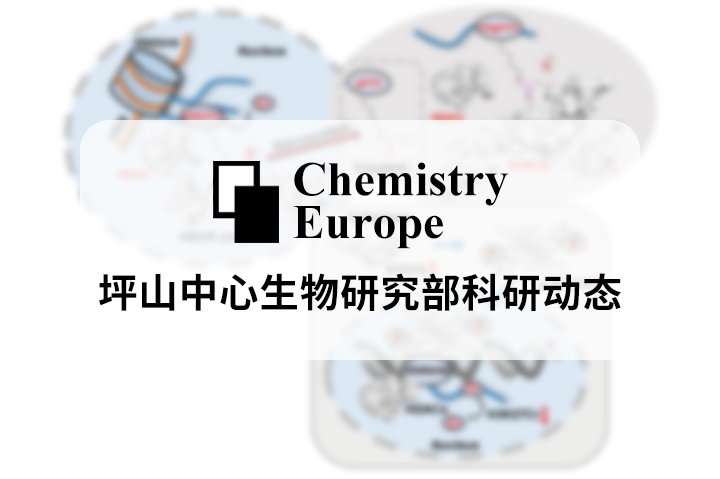 Chemistry | 新型H3g27Cr多肽探針，為組蛋白賴(lài)氨酸巴豆?；揎椞峁┬滤悸? title=