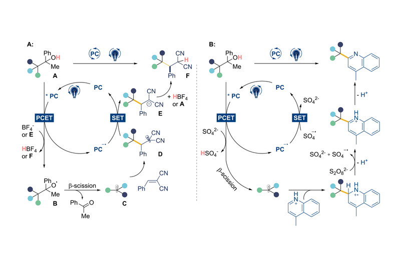 科研動(dòng)態(tài)|坪山中心發(fā)展可見光下質(zhì)子耦合電子轉(zhuǎn)移（PCET）誘導(dǎo)的大位阻惰性Csp3-Csp3斷裂及其官能團(tuán)化新策略