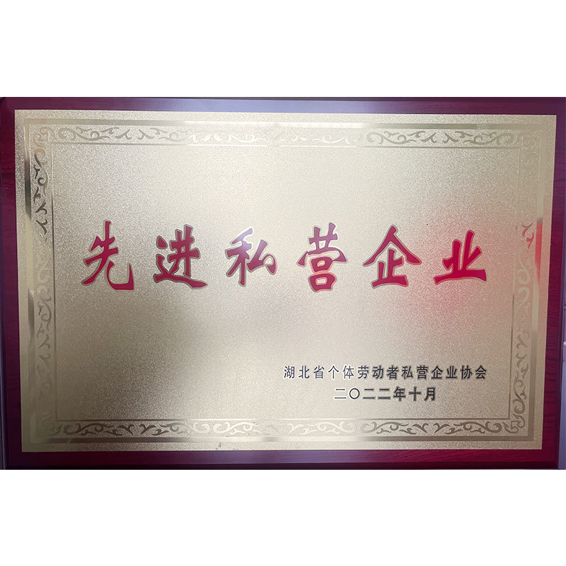 先进私营企业