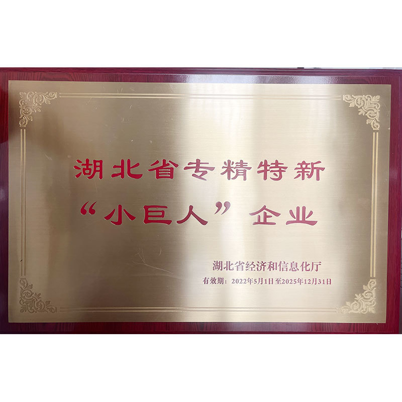 湖北省专精特新“小巨人”企业