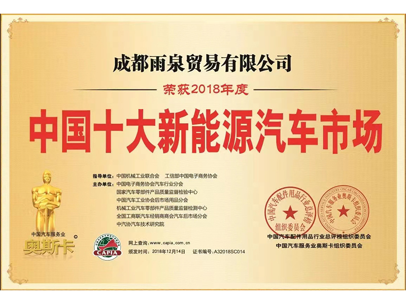 中國十大新能源汽車市場