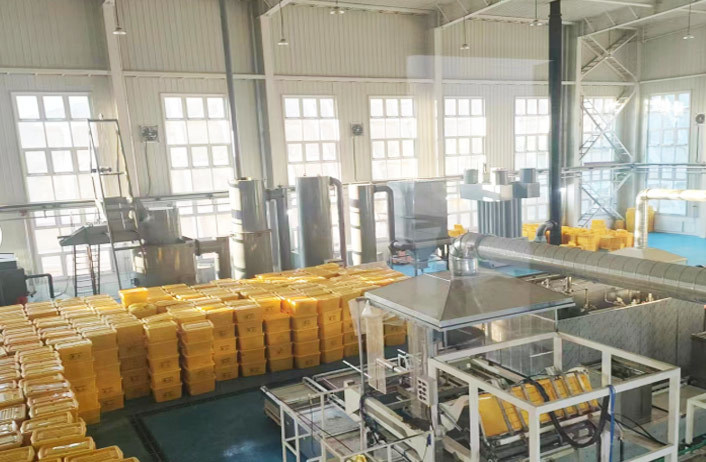 Large medical waste pyrolysis incinerator