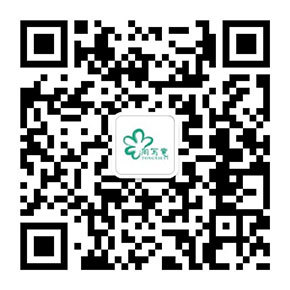 图片名称
